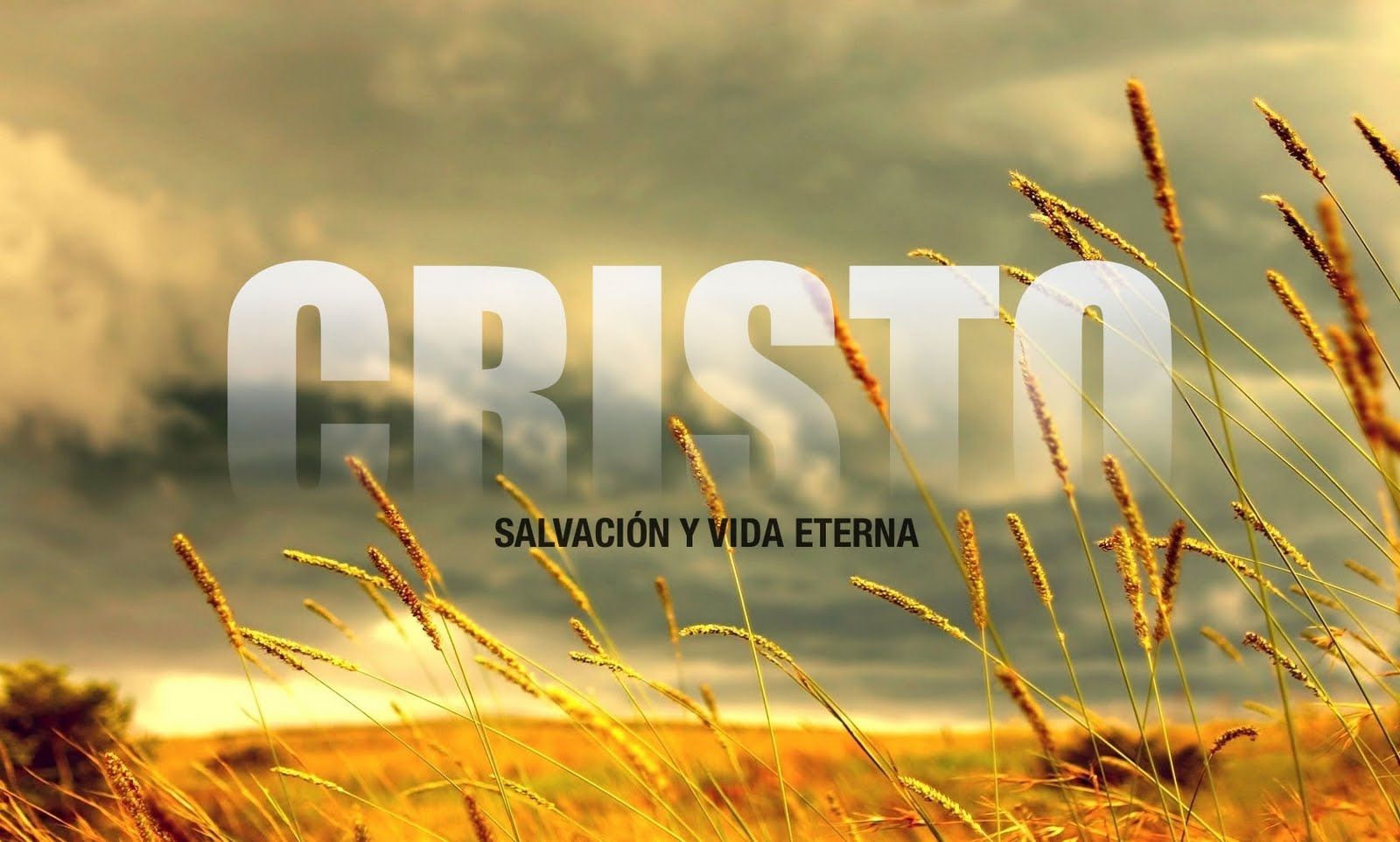 cristo-vida-eterna